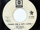THE TRENDS-THANKS FOR A LITTLE LOVIN /I NEVER KNEW HOW GOOD I HAD IT - WLP ON AB