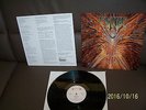 Cynic LP Focus