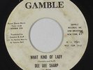 Northern Soul 45 - Dee Dee Sharp - What Kind Of Lady - Gamble - mp3 - promo