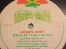Horace Andy / Lecturer  ?– Right Saloon / Weapon. Rare Killer Digi  EX condition