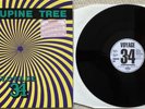 Steven Wilson/Porcupine Tree Voyage 34 Original Delerium Black Vinyl 12