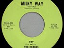 HEAR IT 60's Illinois Garage 45 rpm record The Cobras 