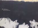 Hope Sandoval & the Warm Inventions: Bavarian Fruit Bread