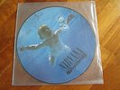 NIRVANA Nevermind PICTURE LP MEXICAN MEXICO RARE LTD EDITION EL DISCO ES CULURA