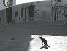 La peste von Camus,Albert | Buch | gebraucht