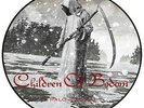 CHILDREN OF BODOM - HALO OF BLOOD, 2013 LTD 180G vinyl PICTURE DISC LP, SEALED
