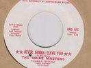The Voice Masters 