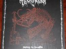 Terrorizer - Before The Downfall 2x 12