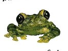 SILVERCHAIR - FROGSTOMP (BONUS TRACK) (LTD) (180GM) NEW VINYL