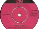 THE BOOMERANGS  JON LEDINGHAM DREAM WORLD SEMI FOLKY IRISH BEAT