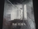 Bauhaus 