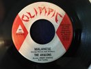 MALANESE b/w  BEGIN THE BEGUINE - AVALONS - OLIMPIC  - RARE MAD MIKE MOLDIE
