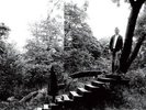TIMBER TIMBRE - TIMBER TIMBRE - VINYL