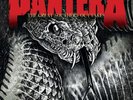 Pantera The Great Southern Outtakes LP vinyl record sealed slipknot hatebreed