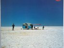COLD CHISEL Circus Animals 1982 OZ WEA NM