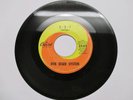 GARAGE PUNK  BOB SEGER SYSTEM  2+2=? DEATH ROW 7
