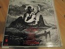 Michael Chapman Fully Qualified Survivor  LP Spain