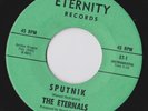 UNKNOWN SURF TITTYSHAKER INSTRO THE ETERNALS SPUTNIK/PEGGY LOU ETERNITY 45 hear