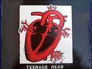 DEEP FREEZE MICE TEENAGE HEAD 1981 LP origianl mole diy art pop homosexuals