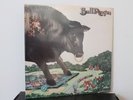 BULL ANGUS Self-Titled LP (Mercury SRM-1-619, orig 1971) SEALED Psych Prog
