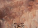 AGNES OBEL CITIZEN OF GLASS NEW SEALED 180G VINYL LP & DOWNLOAD IN STOCK