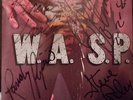 WASP 