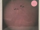S U R V I V E Sealed self-titled Black Vinyl LP Record Stranger Things Survive