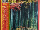 MINORU MURAOKA / Shakuhachi No Shirabe   OBI JAPAN BAMBOO FULUTE SPRITUAL JAZZ