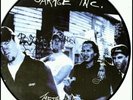 METALLICA GARAGE INC RARE Vinyl Record Picture Disc