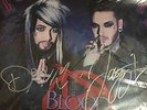 Blood on the Dance Floor Bitch Craft RARE AUTOGRAPHED SOLD OUT VINYL RECORD