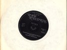 RIOT ROCKERS - TENNESSEE SATURDAY NIGHT (TEDDY BOY, 1978  RAW 11) FAST VERSION