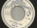 ROCKABILLY R&B-  EDDIE BO  - I LOVE TO ROCK & ROLL  -HEAR BOTH- 1959 ACE