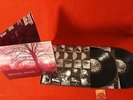 2 LP WICKED MINDS FROM THE PURPLE SKIES 2004 BLACK WIDOW STAMPA ITALIA APRIBILE