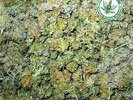 Bongzilla Methods for Attaining Extreme Altitudes - swamp bud green vinyl