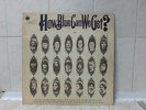 HOW BLUE CAN WE GET ? (LP X 2 - 1970) BLUE HORIZON. DUSTER BENNETT. PETER GREEN.