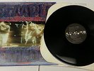 TEMPLE OF THE DOG original A&M Records black Vinyl LP (1991) 1st Ed. PROMO RARE