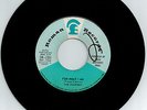 The Paupers FOR WHAT I AM / free as a bird Canadian Garage 45 rpm record ROMAN