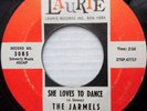 JARMELS doowop 45 Little Lonely One / She Loves To Dance VG++ 1961 LAURIE mg1214