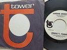 ETERNITY'S CHILDREN - Sunshine Among Us 1968 MONO PROMO Pop Psych Tower 7