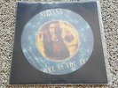 Nirvana - Come as you are 12'' Vinyl PICTURE DISC