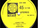 70s Prog Rock AARDVARK lonely sea UK Private Pressing 7