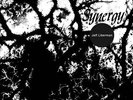 LIBERMAN, JEFF - Synergy - LP Out Sider Out Sider Out Sider