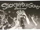 Diamond - Stick To Your Guns (2012, Vinyl New)