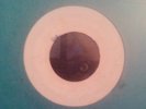 Unknown Wirl GF 3392-1 - Jackie Opel-The Lord Is With Me- FC 3448 -VG-