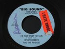Jason Merrick and the Finders   I'm Not What You Are   Detroit garage 45 HEAR