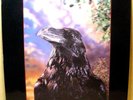 STRANGLERS - The Raven - '79 UK press LP - LENTICULAR 3D cover - lyrics inner