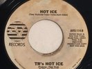 TR's Hot Ice 45 Record   Fatty Bum Bum   AVI Records   1976 Promotional Copy