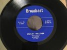 Stormy Weather - Sparrows - Broadcast