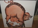 INCREDIBLE HOG - Volume 1 - LP - LEAF HOUND, BLACK CAT BONES, DUST, MAY BLITZ