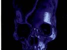 Phantom Chords 7